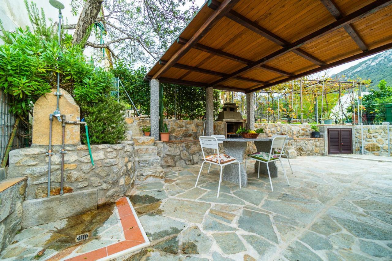 Апартаменты Casa Pepe - Goelba Помонте Экстерьер фото